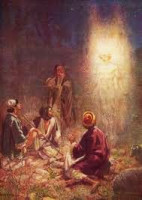 A MERRY CHRISTMAS? About animal and human behaviour